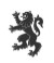 MedCodely logo
